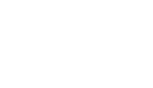 Walking the Talk Organizational Culture Consultancy