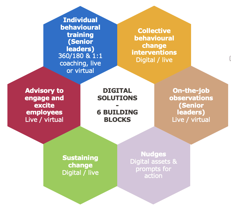 Culture | Digital solutions framework 